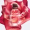 Narciso Rodriguez All Of Me Eau de Parfum 50ml  +10ml SET XMAS24